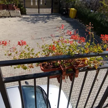 Charter Apartments Costea Sibiu Exterior photo