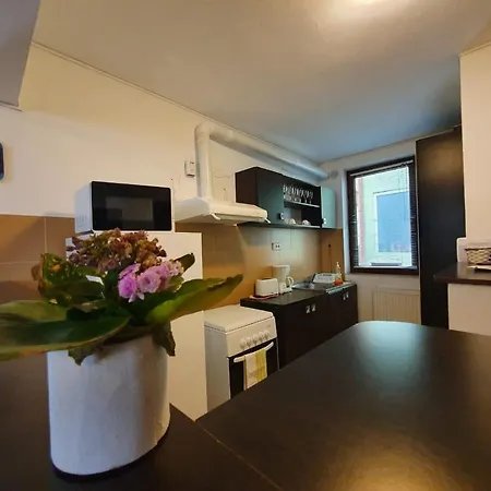 Charter Apartments Costea Sibiu Exterior photo