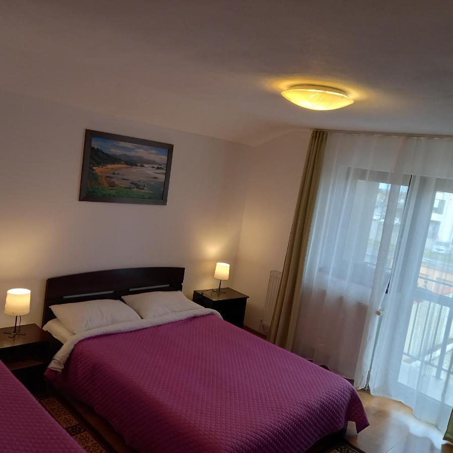 Charter Costea Sibiu