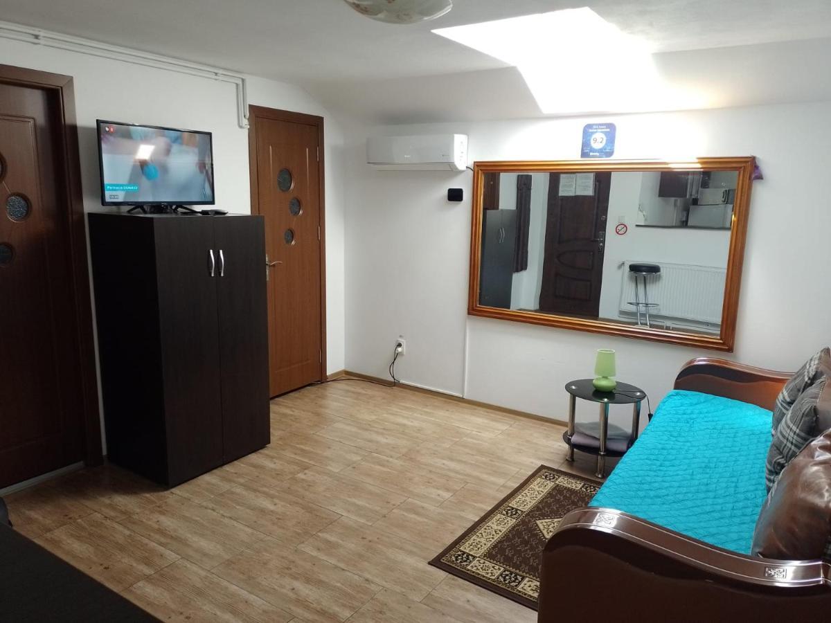 Charter Costea 公寓 Sibiu