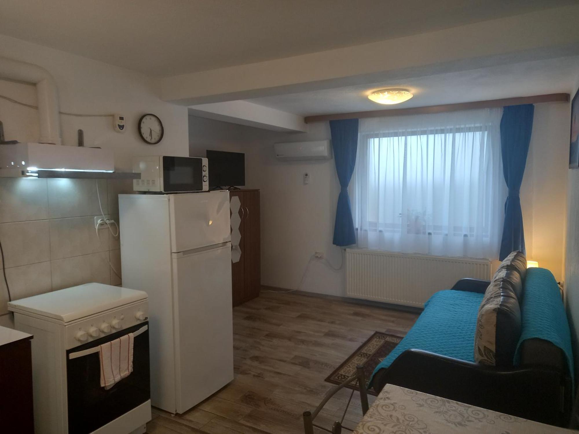 Charter Costea