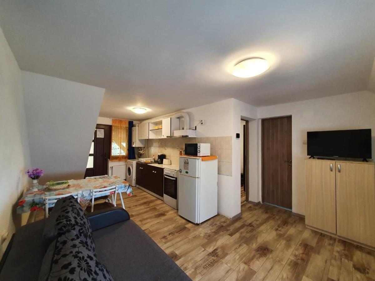 Charter Costea 公寓 Sibiu